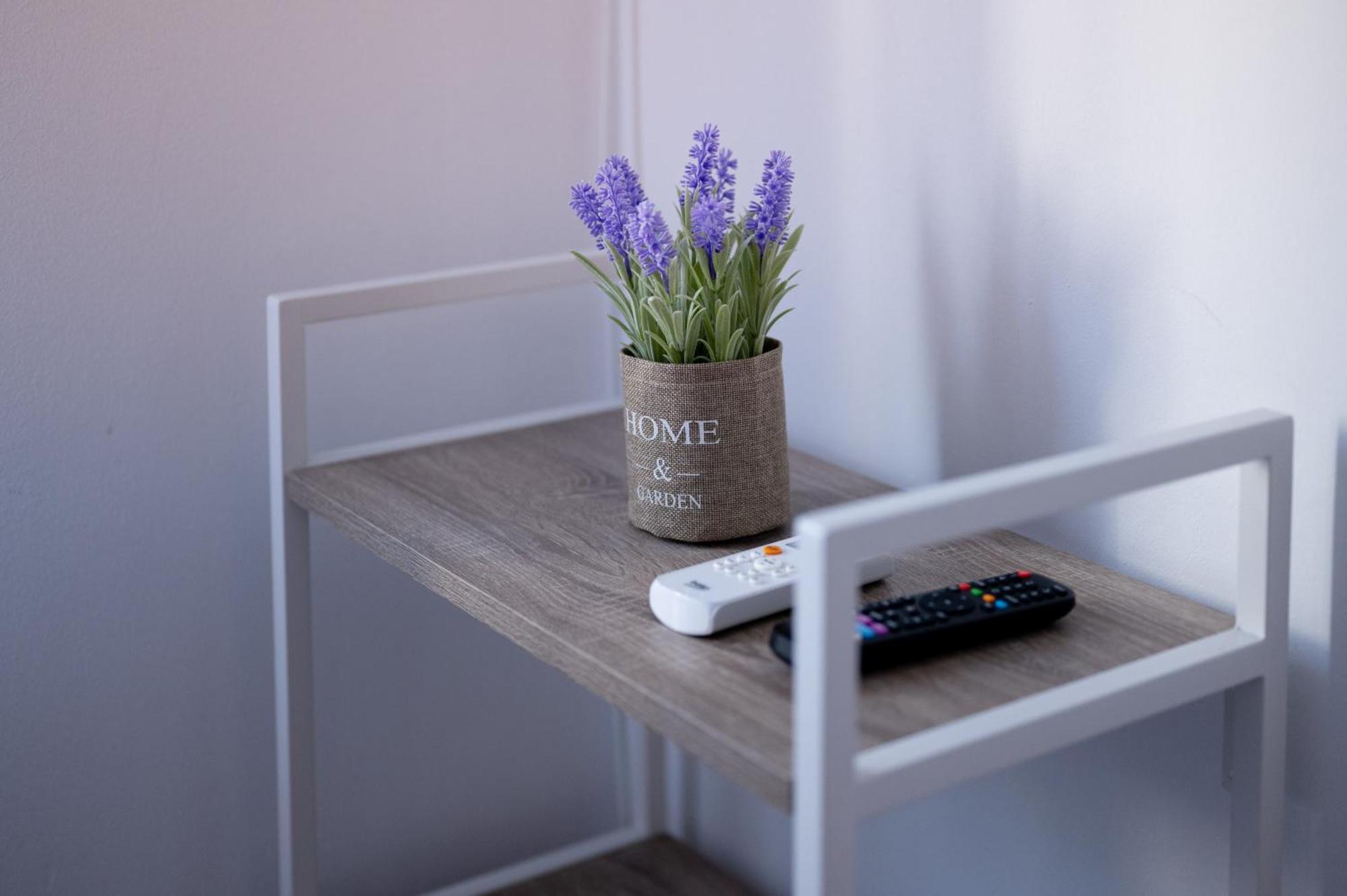 Moise House - Kosher Aparthotel بوخارست المظهر الخارجي الصورة